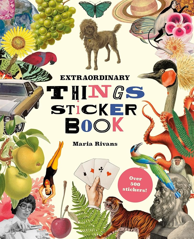 Extraordinary Things Sticker Book cover image