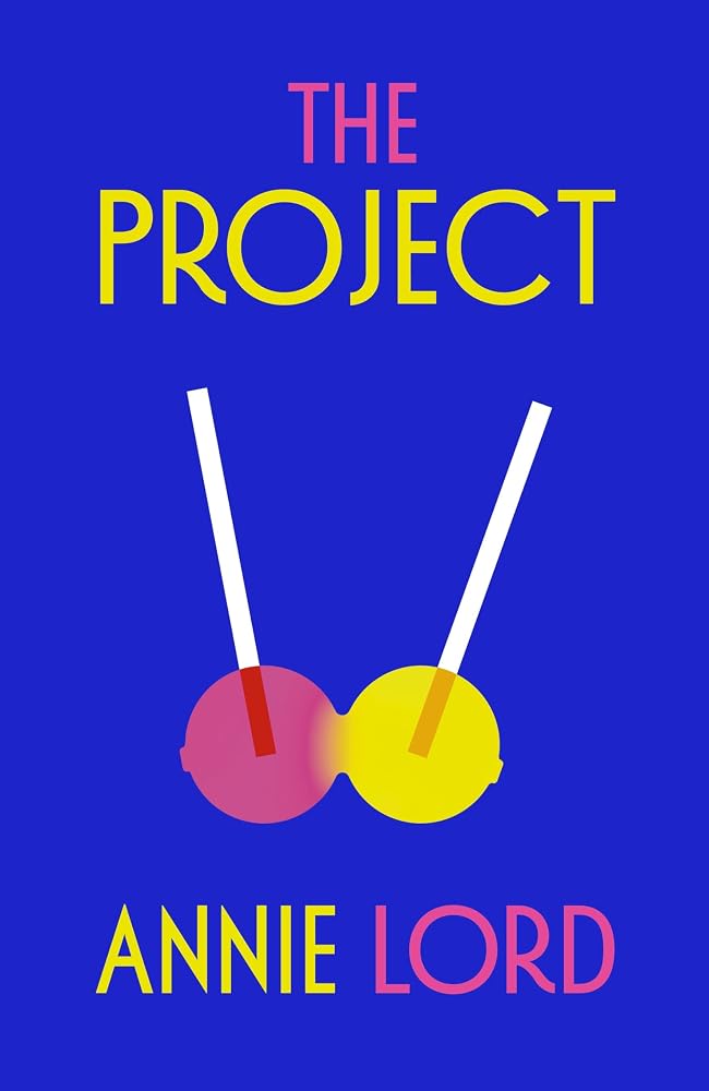 The Project: The hot summer romcom from Vogue's dating columnist and author of Notes on Heartbreak cover image