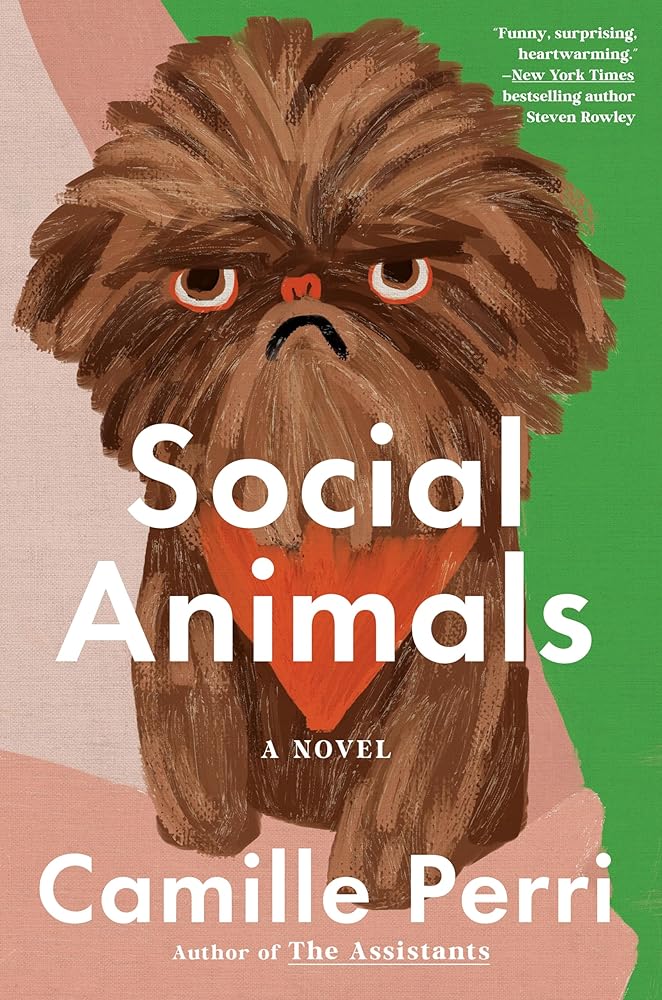 Social Animals cover image